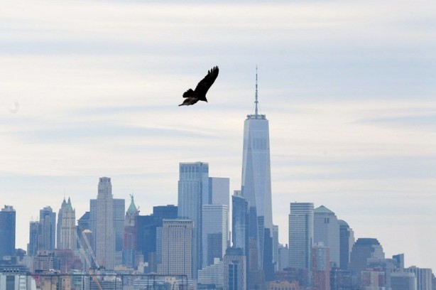 Foto - New York cesetlerle dolu! Şehri işgal ettiler