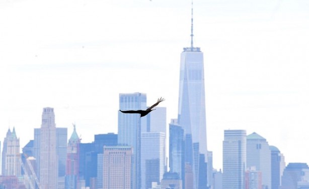 Foto - New York cesetlerle dolu! Şehri işgal ettiler