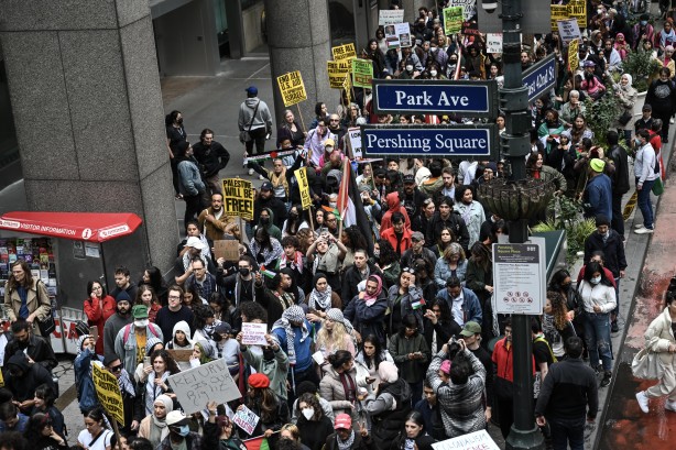 Foto - New York'ta Filistin'e destek gösterisi