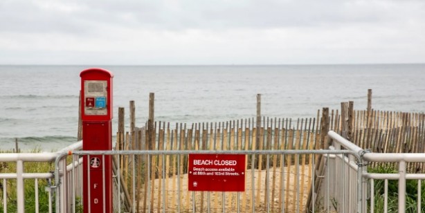 New York'ta köpek balığı alarmı