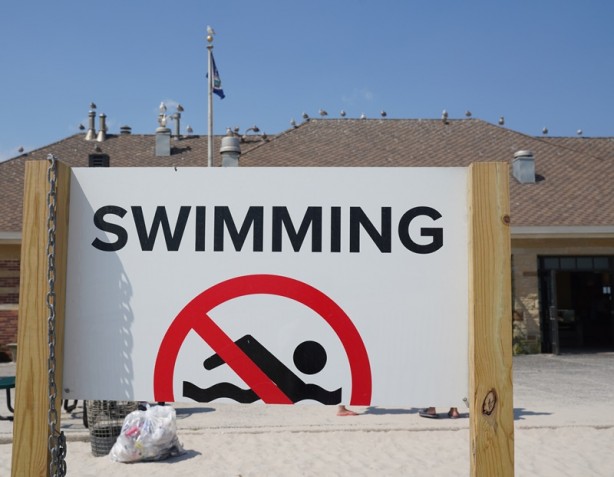 Foto - New York'ta köpek balığı alarmı