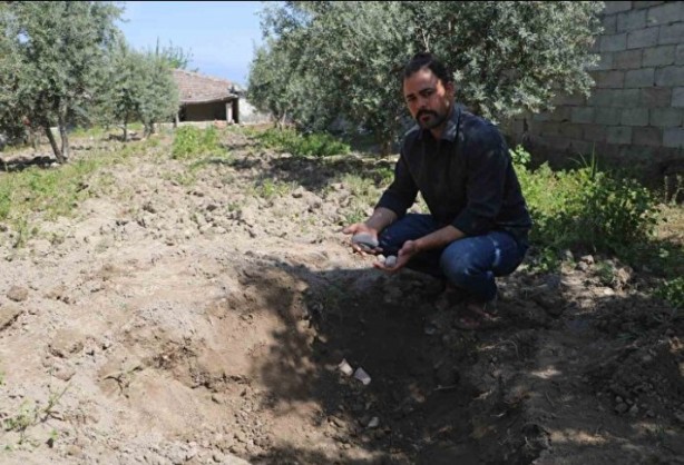 Foto - Neye niyet neye kısmet! Zeytin hasadı yaparken altın buldu