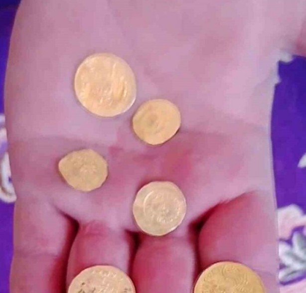 Foto - Neye niyet neye kısmet! Zeytin hasadı yaparken altın buldu