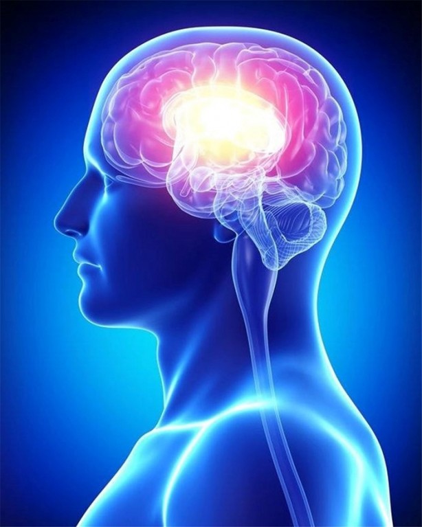 Foto - Niçin iki gözümüz var?