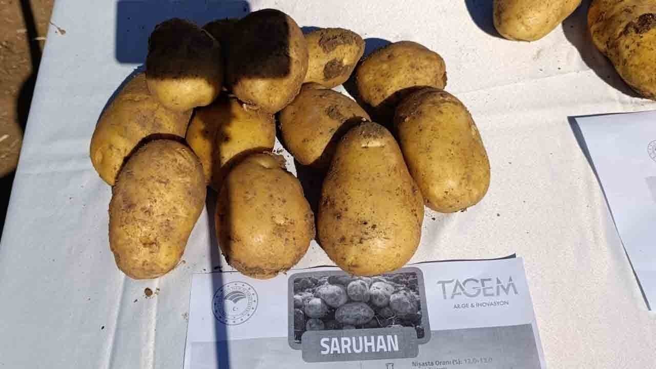 Foto - Niğde Valisi Nedim Akmeşe Üreticilerle buluştu: Tarlada hasat yaptı işçilerle sofrayı paylaştı