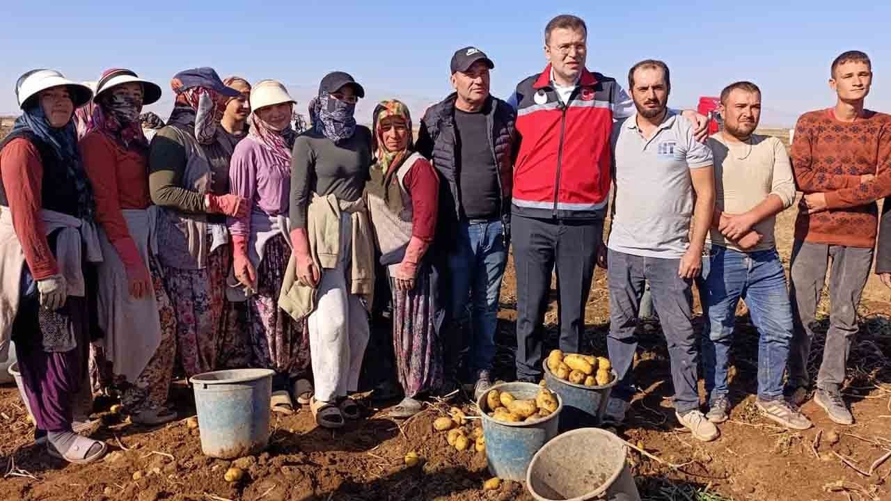 Foto - Niğde Valisi Nedim Akmeşe Üreticilerle buluştu: Tarlada hasat yaptı işçilerle sofrayı paylaştı