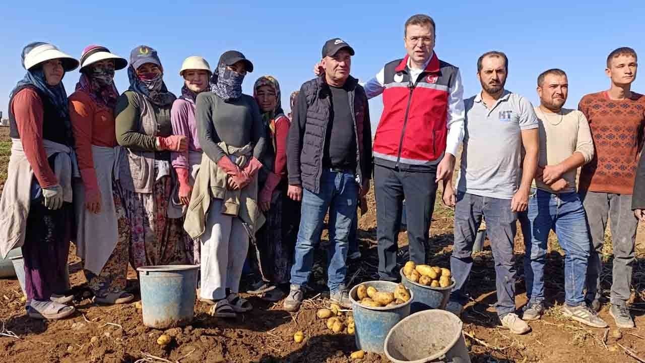 Niğde Valisi Nedim Akmeşe Üreticilerle buluştu: Tarlada hasat yaptı işçilerle sofrayı paylaştı