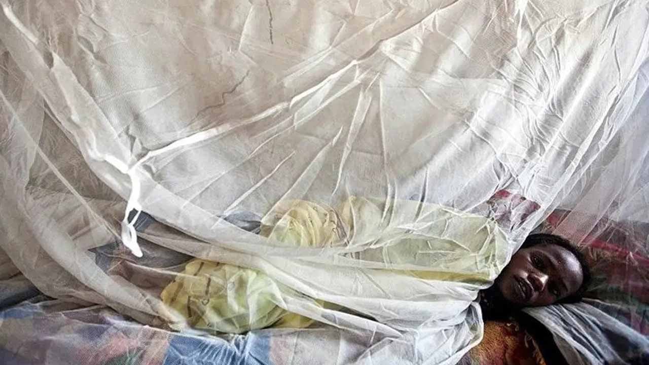 Nijerya'da ölümcül virüs yayılıyor: Lassa ateşinden 259 can kaybı!