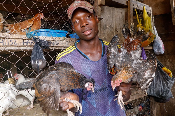 Foto - Nijeryalılar çarşıdan pazardan kaçıyor