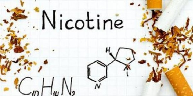 Nikotini vücuttan atan besinler