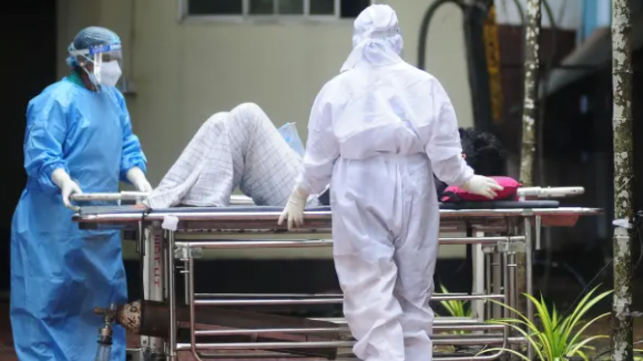 Ölüm oranı korkuttu: İşte Nipah virüsünün 3 belirtisi!