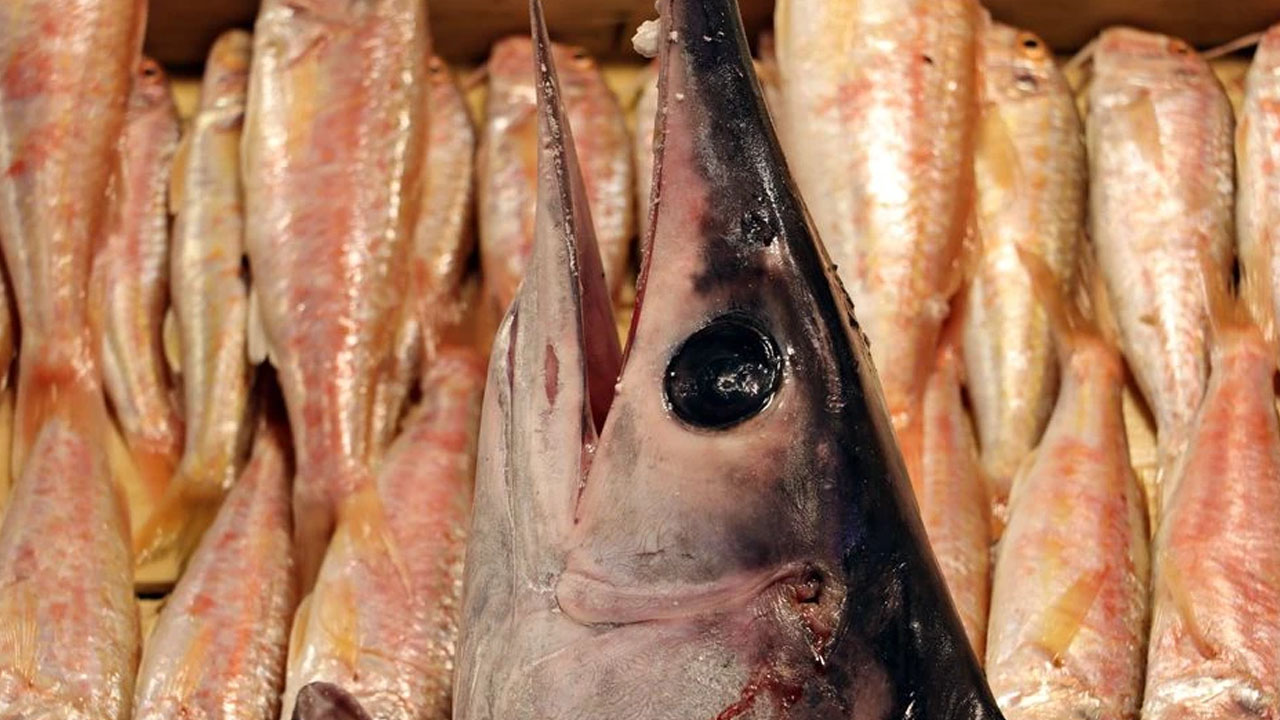 Foto - Nisan ayı en sağlıklı balık çeşitleri bunlar!