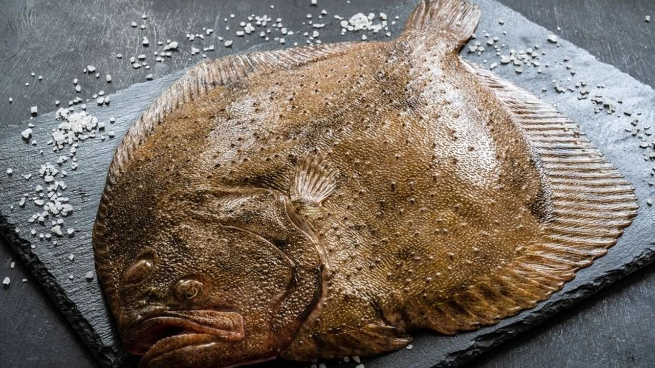 Foto - Nisan ayı en sağlıklı balık çeşitleri bunlar!