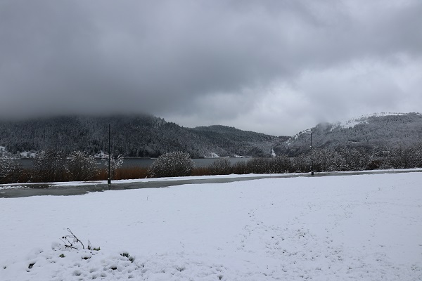 Foto - Nisan ayında Abant beyaza büründü