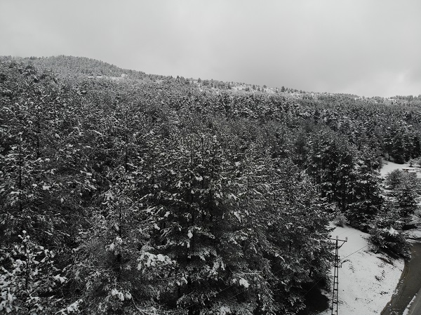 Foto - Nisan ayında Abant beyaza büründü