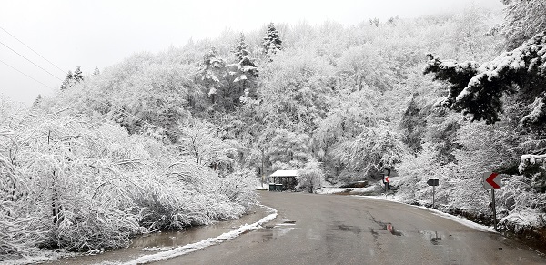 Foto - Nisan ayında Abant beyaza büründü