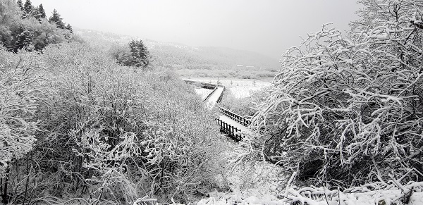 Foto - Nisan ayında Abant beyaza büründü