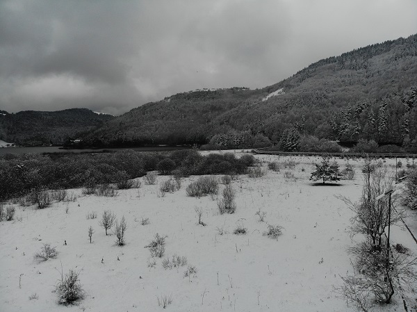 Foto - Nisan ayında Abant beyaza büründü