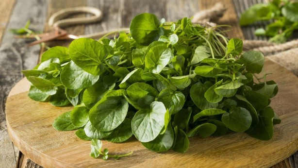 Foto - Nisan ayında hangi meyve ve sebze yenir? 