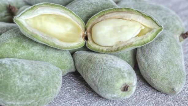 Foto - Nisan ayında hangi meyve ve sebze yenir? 