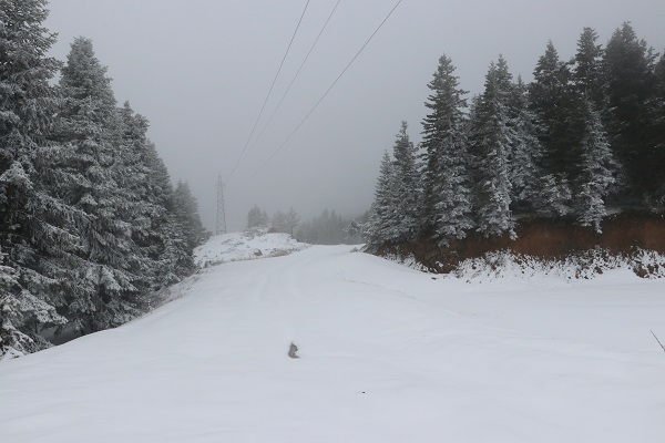 Foto - Nisan ayında Ilgaz Dağı beyaza büründü