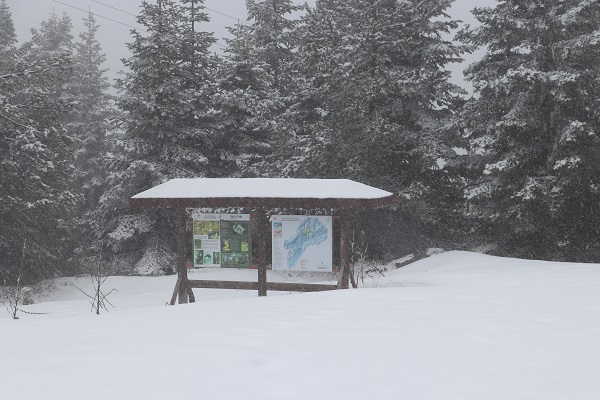 Foto - Nisan ayında Ilgaz Dağı beyaza büründü