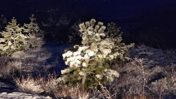 Foto - Nisan ayında kar sürprizi