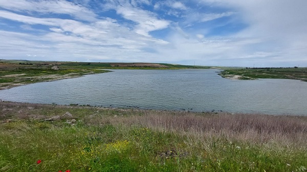 Foto - Nisan yağışları can suyu oldu