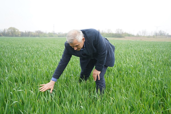 Foto - Nisan yağışları ilaç oldu