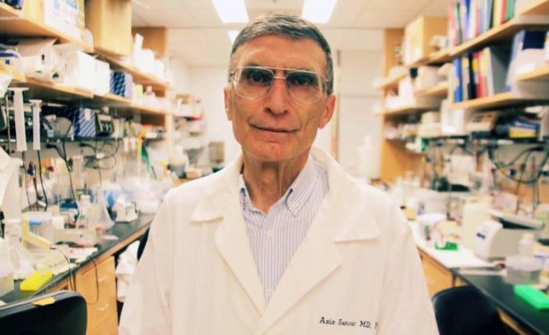 Nobel ödüllü bilim insanı başarının sırrını açıkladı! 'Bu 3 cevhere sahipseniz...'