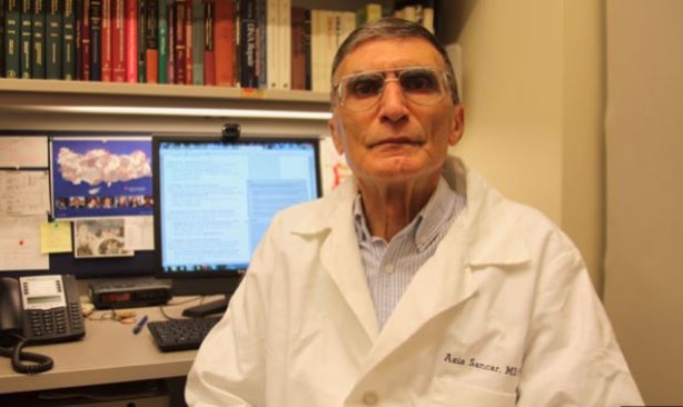 Foto - Nobel ödüllü bilim insanı başarının sırrını açıkladı! 'Bu 3 cevhere sahipseniz...'