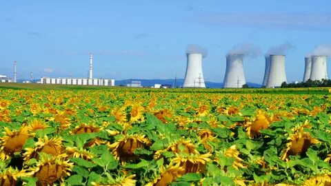 Foto - Nükleer savaşta insanlığı kurtarabilecek yeni besin kaynağı keşfedildi
