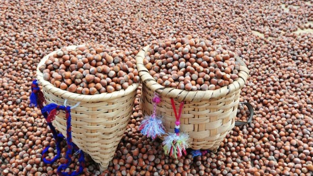 Foto - Nutella’yı üreten Ferrero firmasından flaş karar! Türkiye’yi doğrudan ilgilendiriyor! O projesi battı 