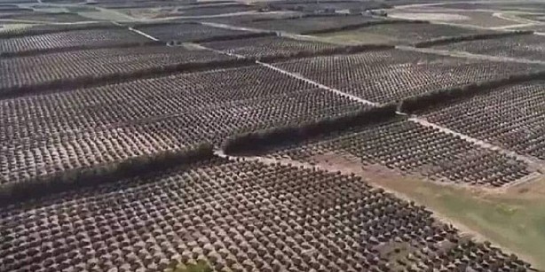 Foto - Nutella’yı üreten Ferrero firmasından flaş karar! Türkiye’yi doğrudan ilgilendiriyor! O projesi battı 