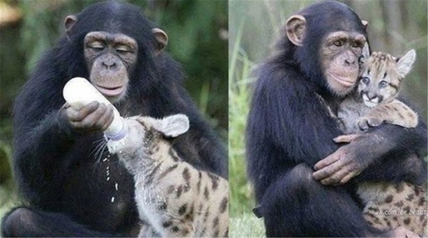 Foto - 'O an'ı yakalayan fotoğraflar