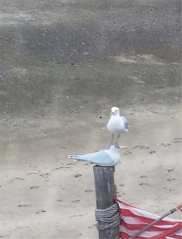 Foto - 'O an'ı yakalayan fotoğraflar