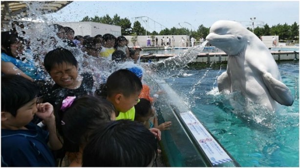 Foto - 'O an'ı yakalayan fotoğraflar