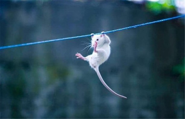 Foto - 'O an'ı yakalayan fotoğraflar