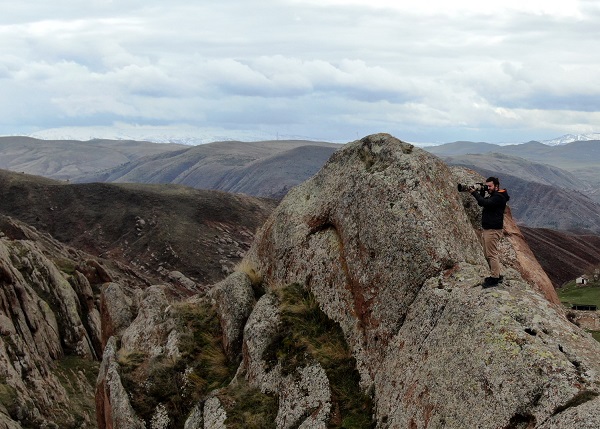 Foto - O anlar böyle kaydedildi! Birini bile görmek zorken sürü halinde yakalandılar