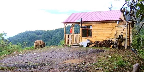 Foto - O anlar böyle kaydedildi! Hırsızlardan şüphelendi gerçek bambaşka çıktı