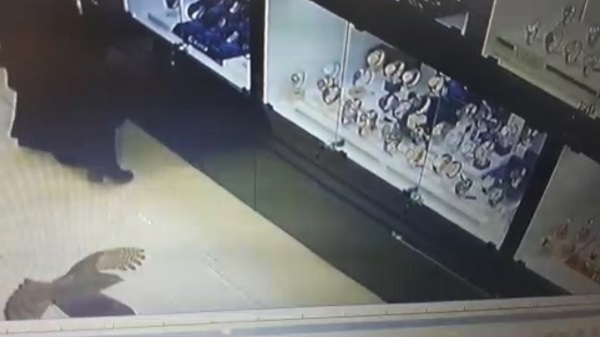 Foto - O anlar kameralara böyle yansıdı! Atmaca yakaladığı serçeyle kuyumcuya daldı