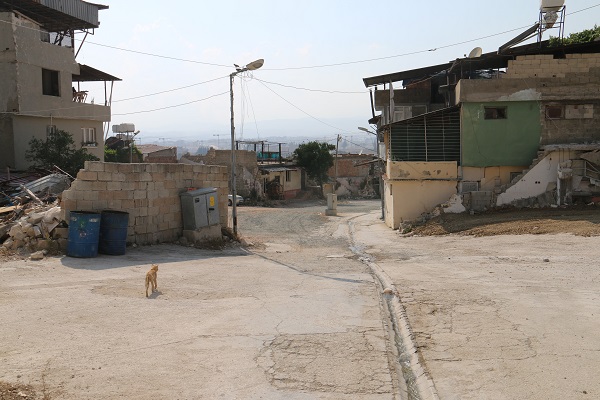 Foto - O anlar objektiflere yansıdı! Yaşlı kadının başıboş sokak köpekleriyle imtihanı