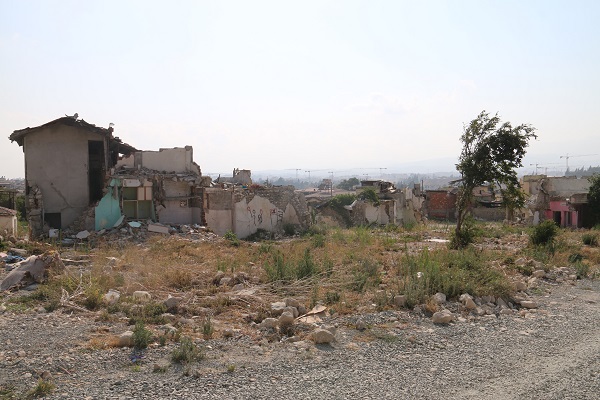 Foto - O anlar objektiflere yansıdı! Yaşlı kadının başıboş sokak köpekleriyle imtihanı