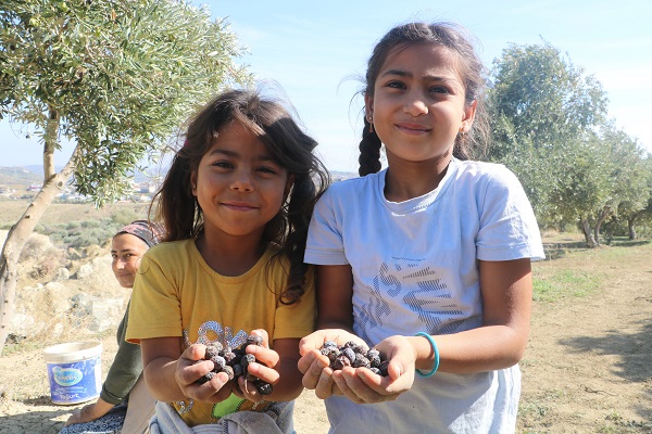Foto - O bahçeyi fay hattı ikiye bölmüştü! Hatay'da korkutan hasat 