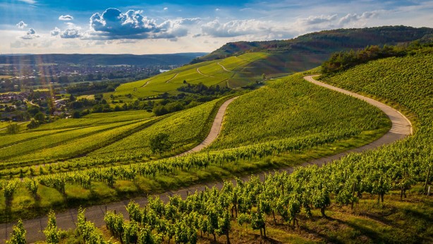 Foto - O banka 9 ildeki 27 arsayı satışa çıkardı! Başvurular başladı, son tarihi kaçırmayın
