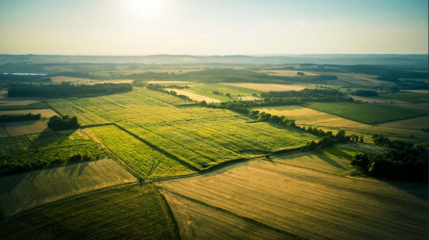 Foto - O banka 9 ildeki 27 arsayı satışa çıkardı! Başvurular başladı, son tarihi kaçırmayın