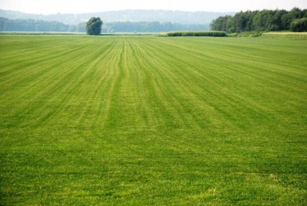 Foto - O banka 9 ildeki 27 arsayı satışa çıkardı! Başvurular başladı, son tarihi kaçırmayın
