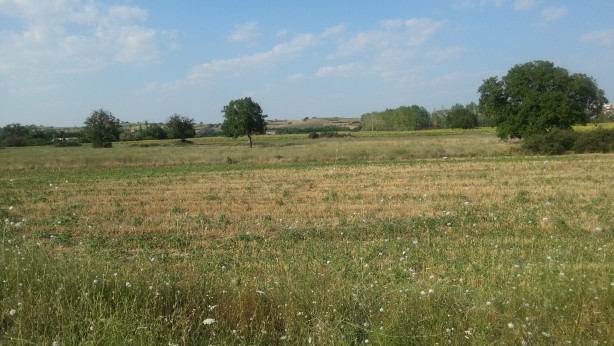 Foto - O banka 9 ildeki 27 arsayı satışa çıkardı! Başvurular başladı, son tarihi kaçırmayın