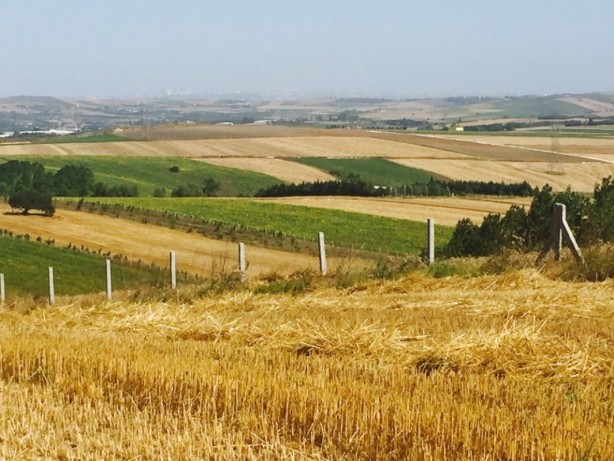 Foto - O banka 9 ildeki 27 arsayı satışa çıkardı! Başvurular başladı, son tarihi kaçırmayın
