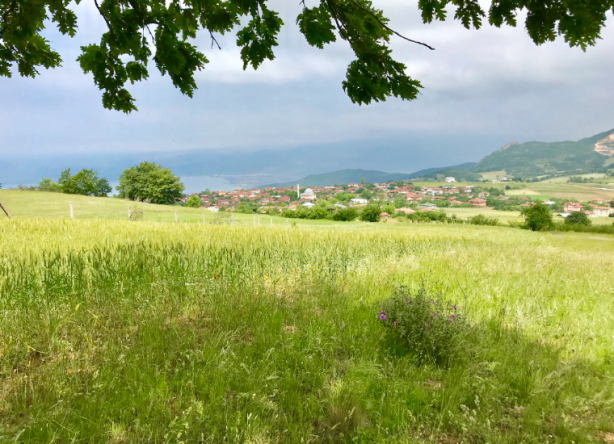 Foto - O banka 9 ildeki 27 arsayı satışa çıkardı! Başvurular başladı, son tarihi kaçırmayın